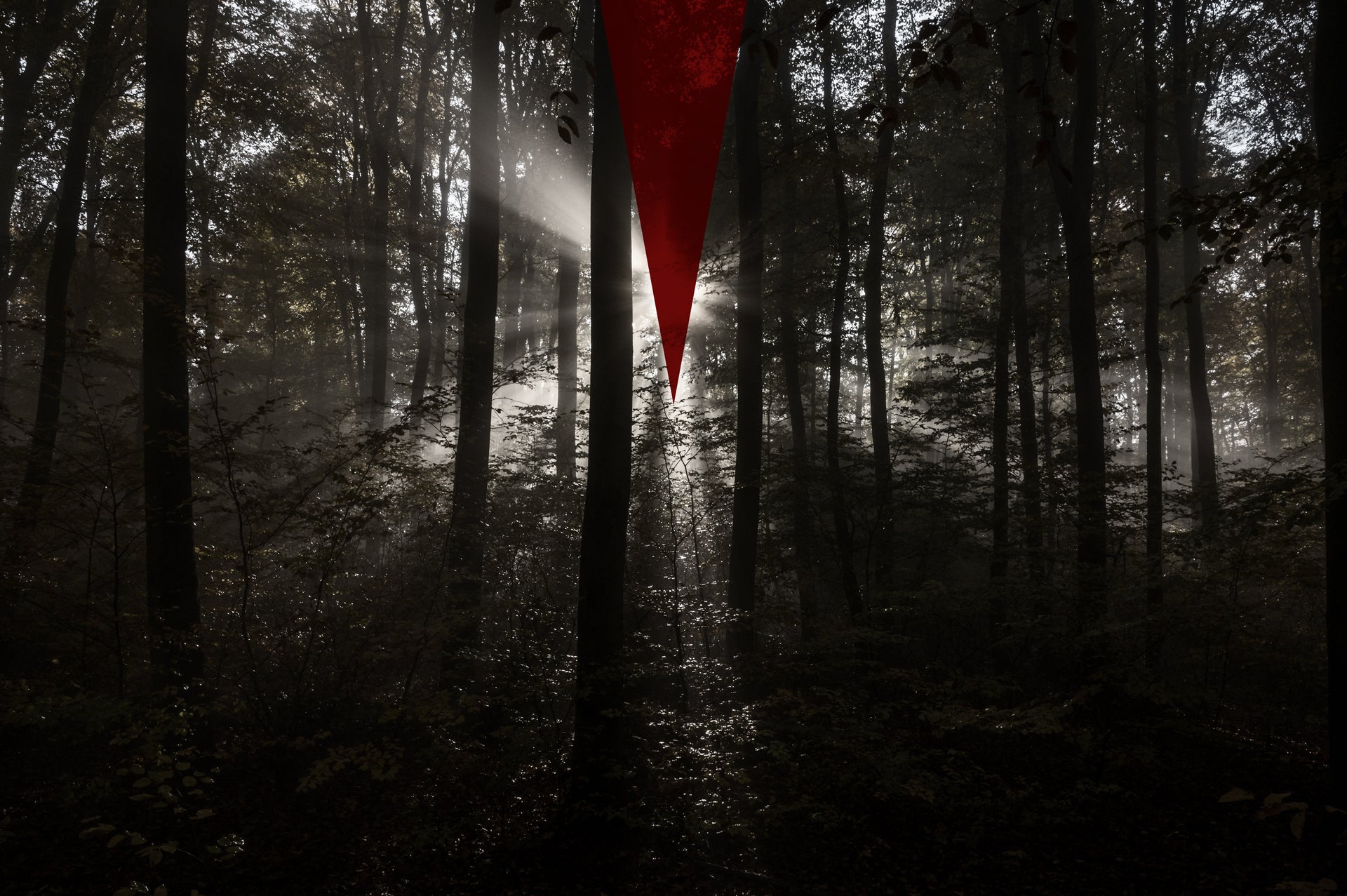 Forest-Parallax-desktop