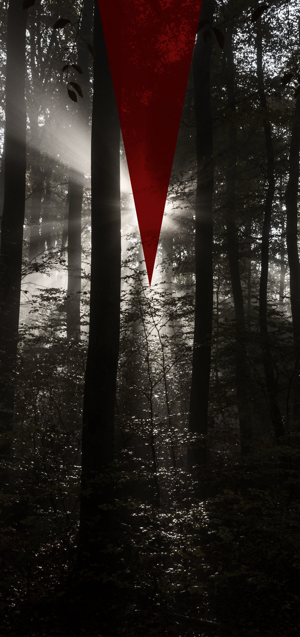 Forest-Parallax-Mobile