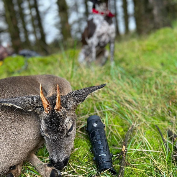 Deer dead and Dog standing and scope