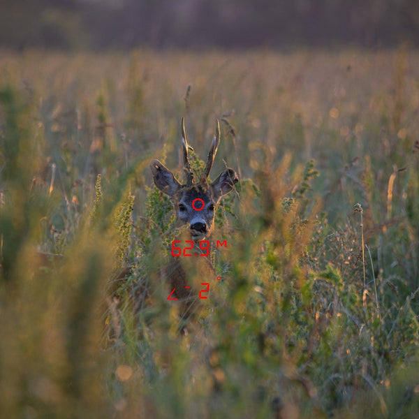 GPO RANGEGUIDE 2800 10x50 Laser Range Finder Binoculars - TALON GEAR